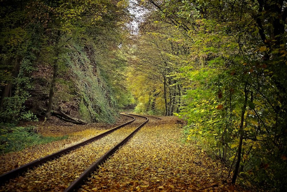 Railroad tracks curving through a forest covered in autumn leaves